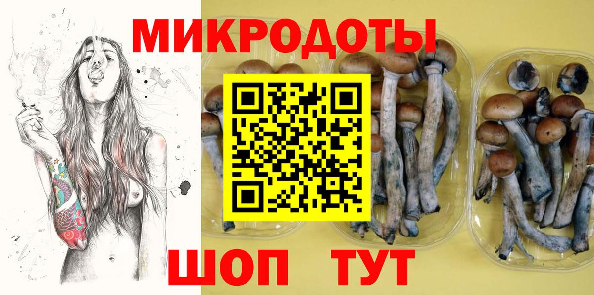 Галлюциногенные грибы прущие грибы Сыктывкар