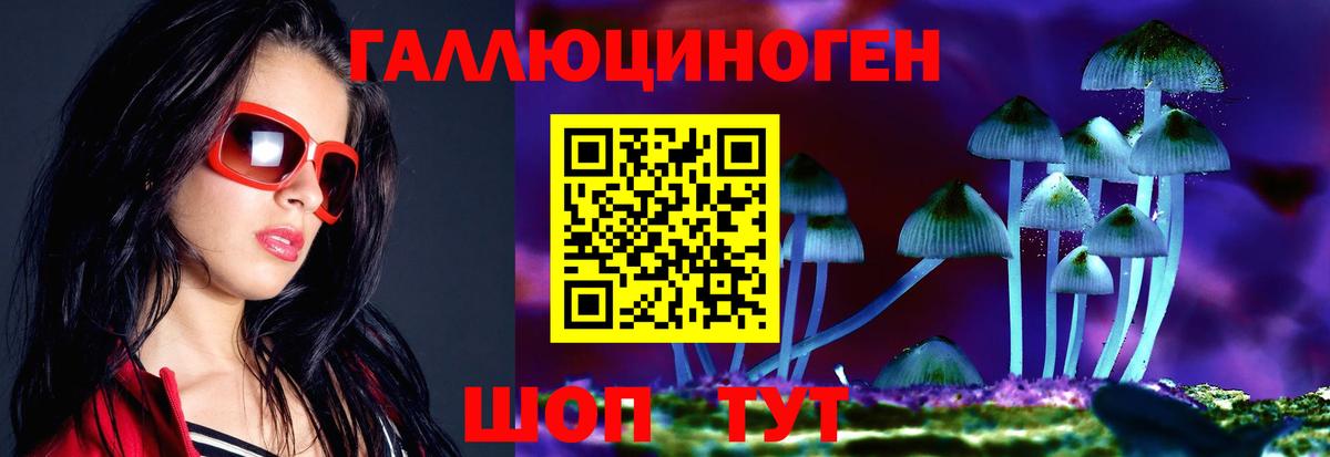 Псилоцибиновые грибы GOLDEN TEACHER  Вход с VPN  Сыктывкар  Галлюциногенные грибы Psilocybine cubensis 