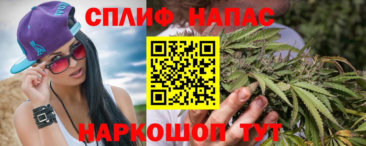 Шишки марихуана сатива Сыктывкар